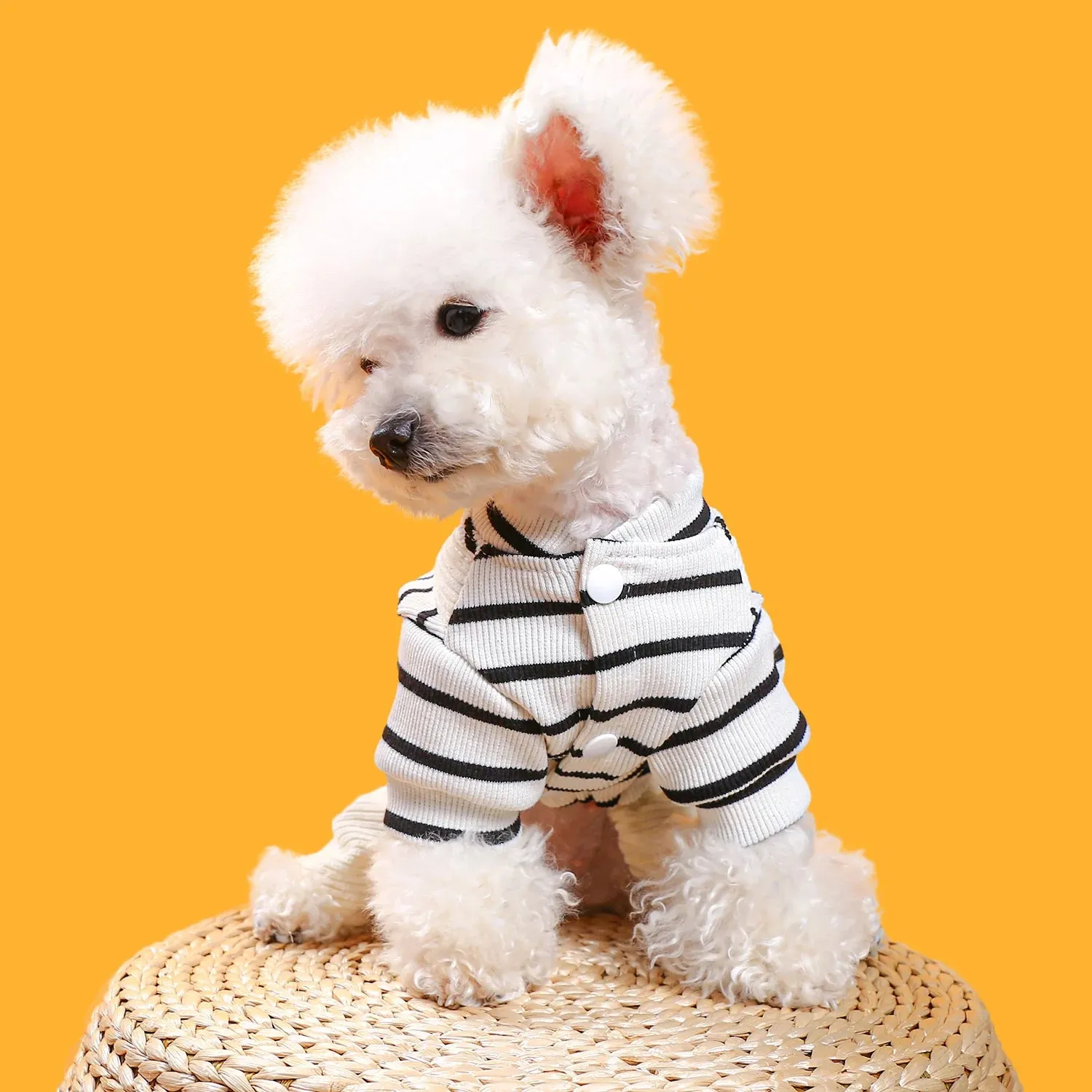 Fashion Forward: Black and White Stripe Pocket Button Four-Leg Strap Pants - Autumn Winter Pet Apparel for Small and Medium-Sized Dogs