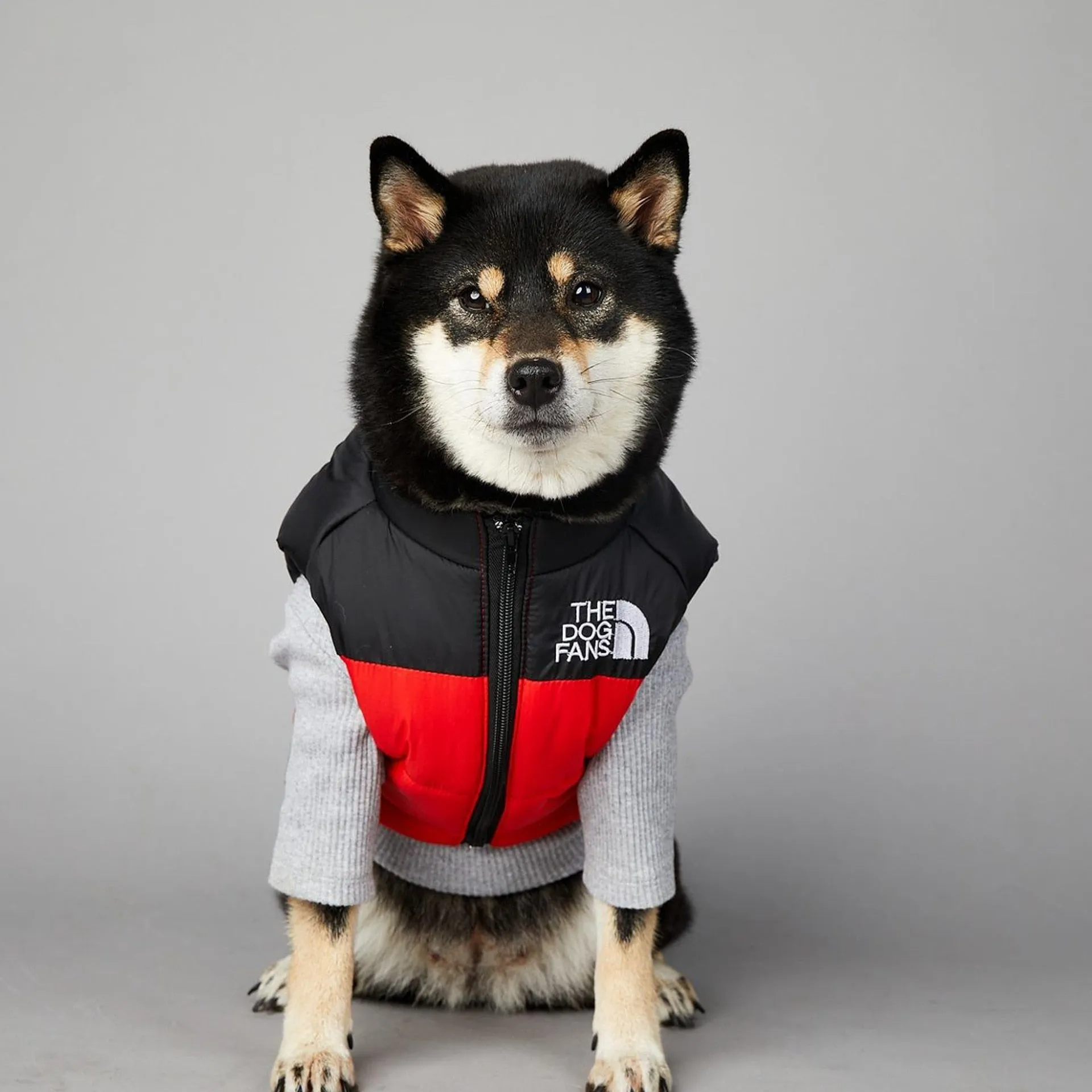 The Dog Face Vest