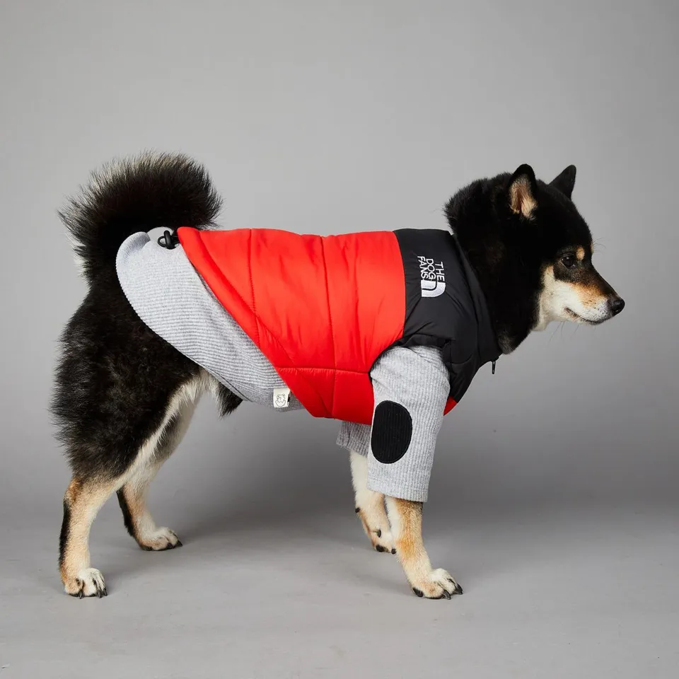 The Dog Face Vest